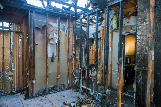 Professional Odor Removal technician working in Salem, MA